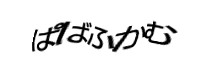 認証画像